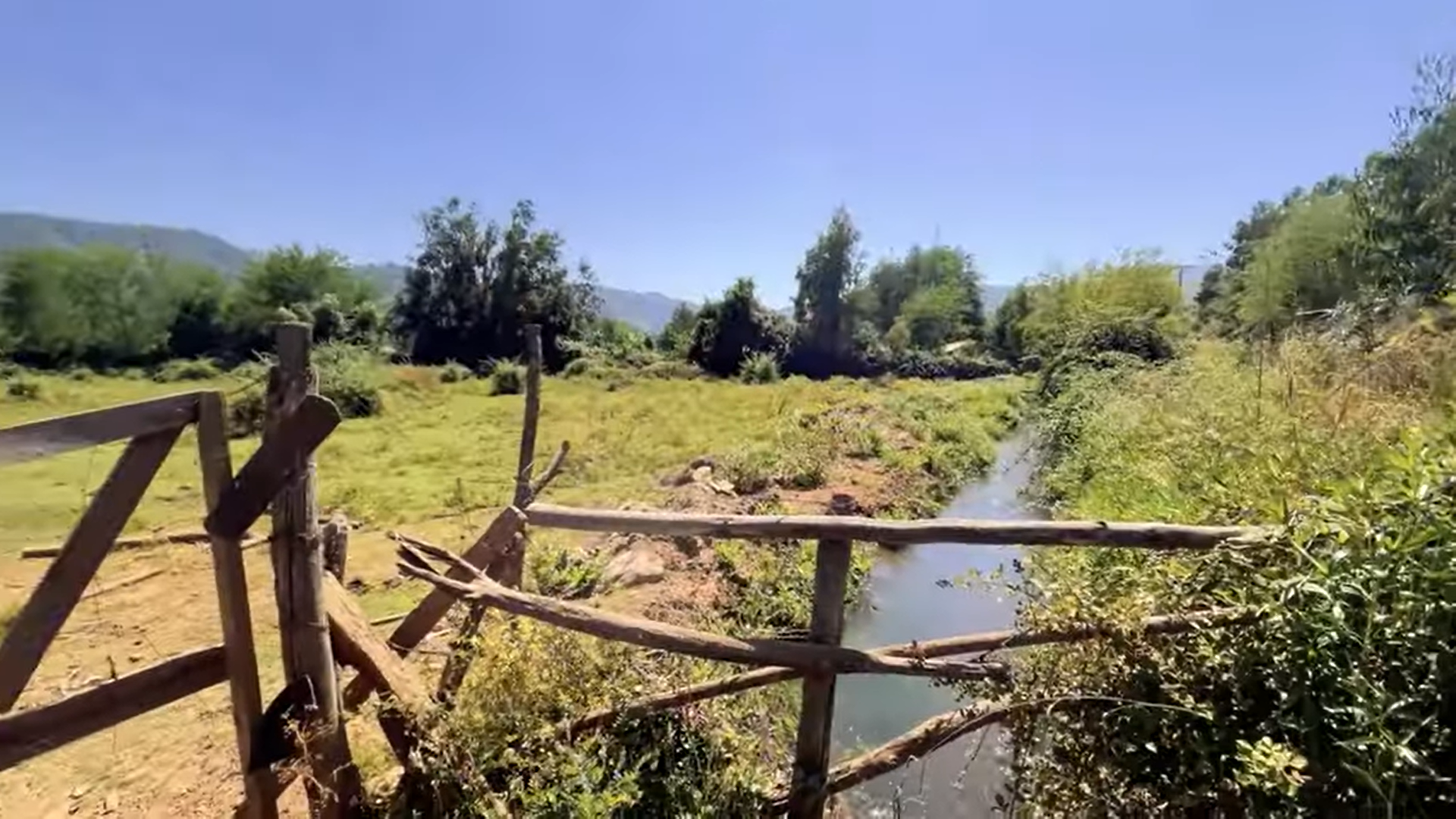 Galería 08