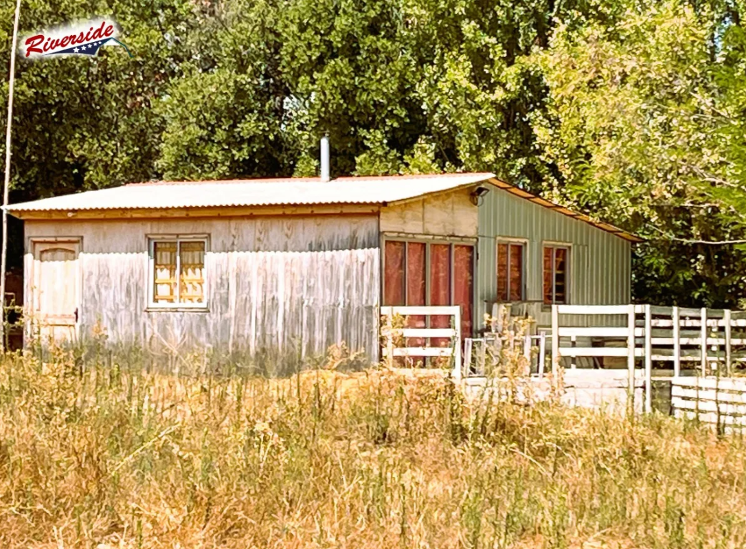 Galería 11